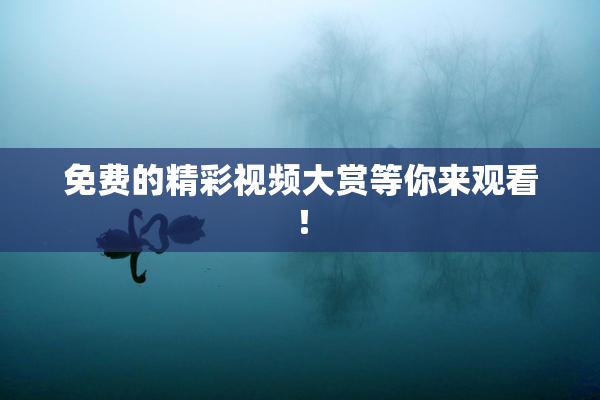 免费的精彩视频大赏等你来观看！