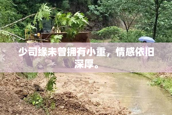 少司缘未曾拥有小重，情感依旧深厚。