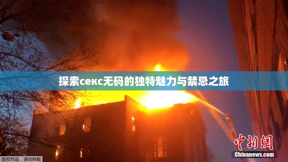 探索секс无码的独特魅力与禁忌之旅