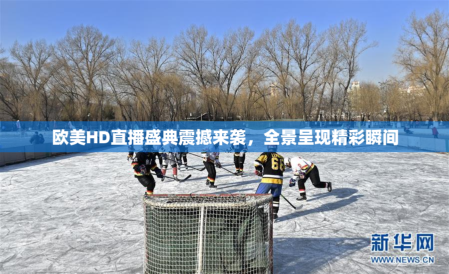 欧美HD直播盛典震撼来袭，全景呈现精彩瞬间