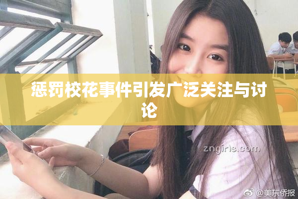 惩罚校花事件引发广泛关注与讨论