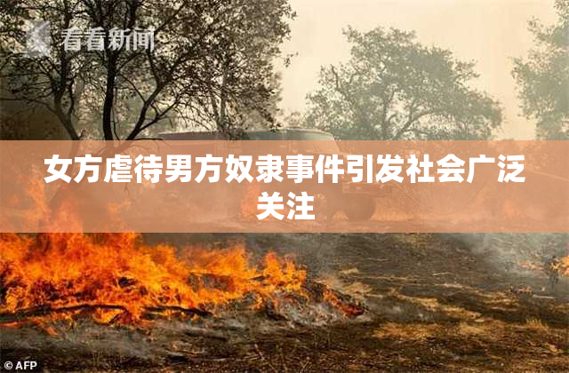 女方虐待男方奴隶事件引发社会广泛关注