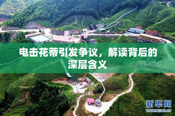 电击花蒂引发争议，解读背后的深层含义