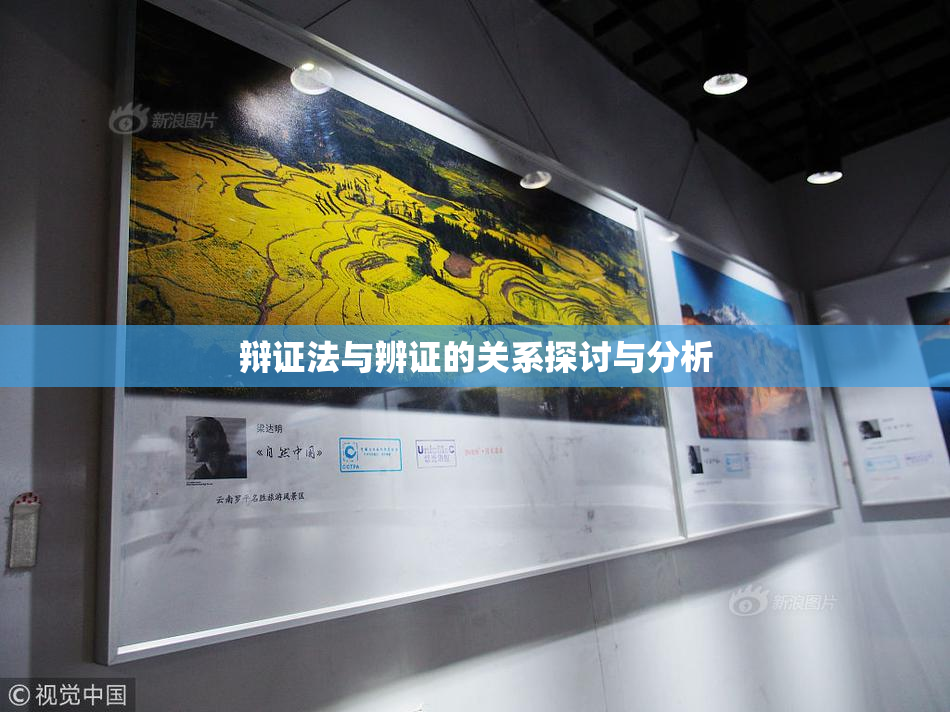 辩证法与辨证的关系探讨与分析