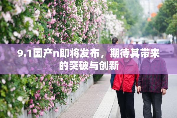 9.1国产n即将发布，期待其带来的突破与创新
