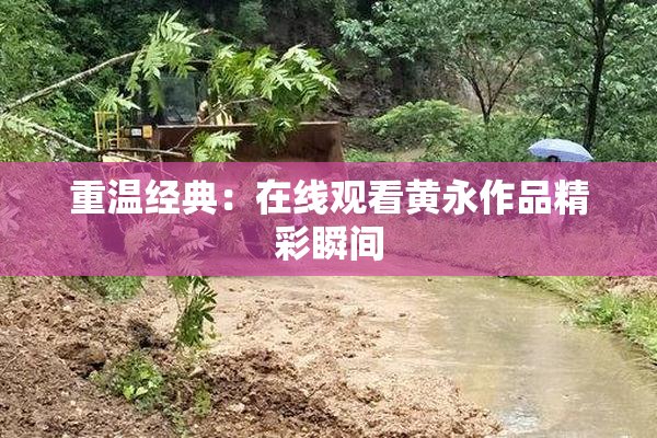 重温经典：在线观看黄永作品精彩瞬间