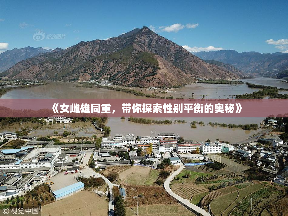 《女雌雄同重，带你探索性别平衡的奥秘》