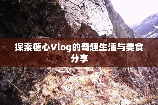 探索糖心Vlog的奇趣生活与美食分享