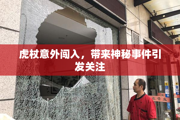 虎杖意外闯入，带来神秘事件引发关注
