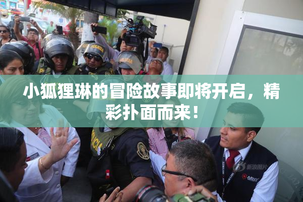 小狐狸琳的冒险故事即将开启，精彩扑面而来！