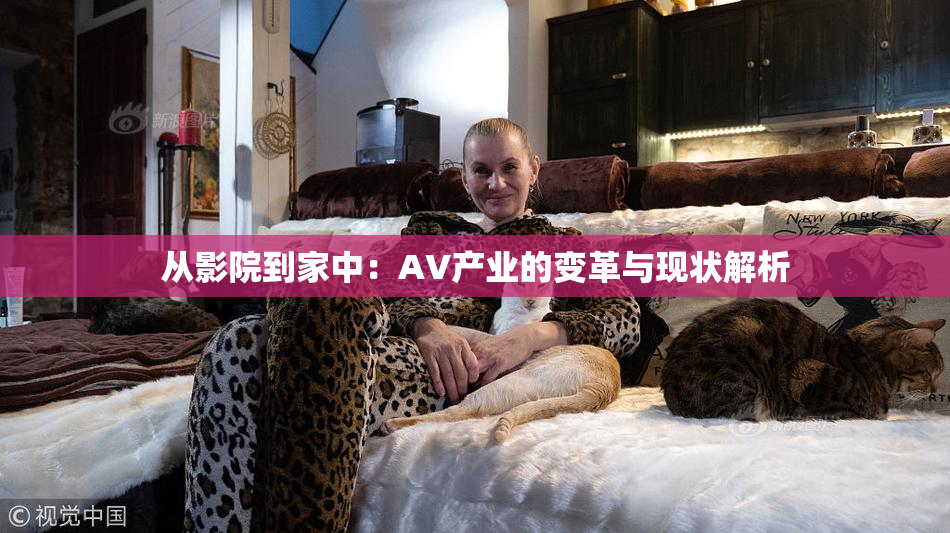 从影院到家中：AV产业的变革与现状解析