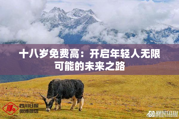 十八岁免费高：开启年轻人无限可能的未来之路