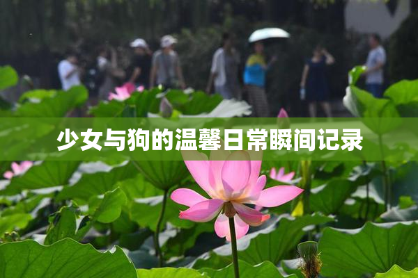 少女与狗的温馨日常瞬间记录