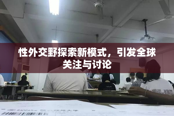 性外交野探索新模式，引发全球关注与讨论
