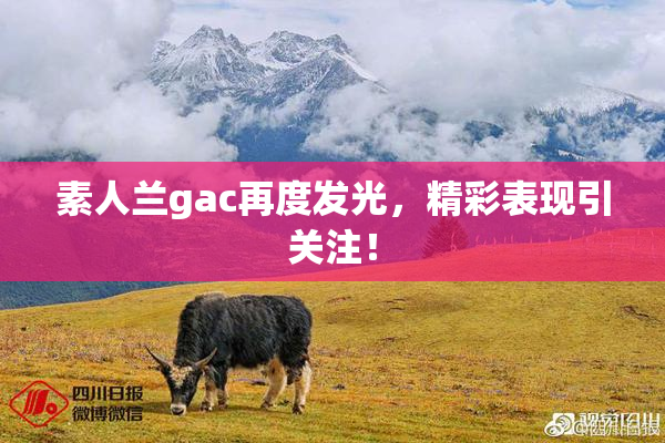 素人兰gac再度发光，精彩表现引关注！