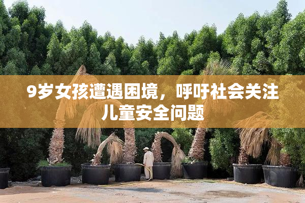 9岁女孩遭遇困境，呼吁社会关注儿童安全问题