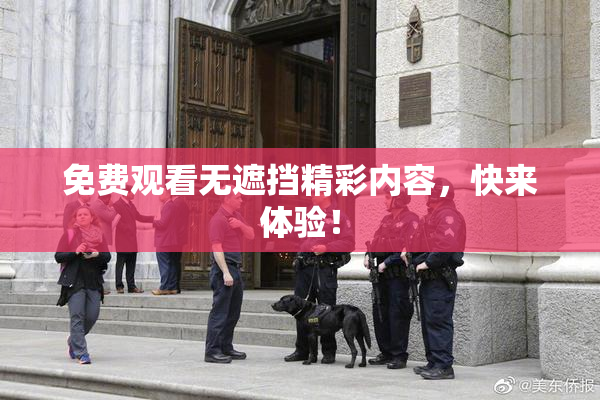 免费观看无遮挡精彩内容，快来体验！