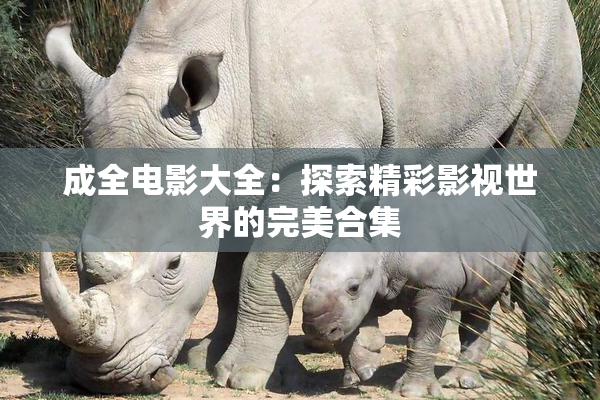 成全电影大全：探索精彩影视世界的完美合集