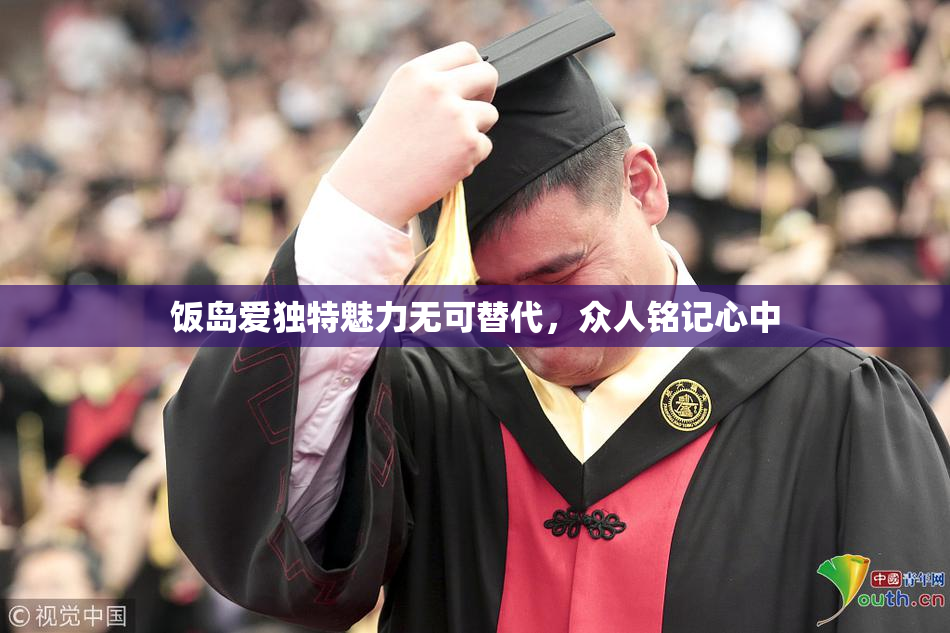 饭岛爱独特魅力无可替代，众人铭记心中