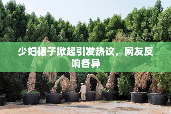 少妇裙子掀起引发热议，网友反响各异