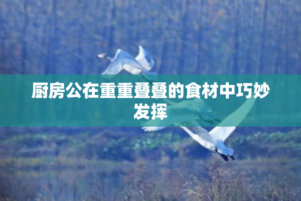 厨房公在重重叠叠的食材中巧妙发挥