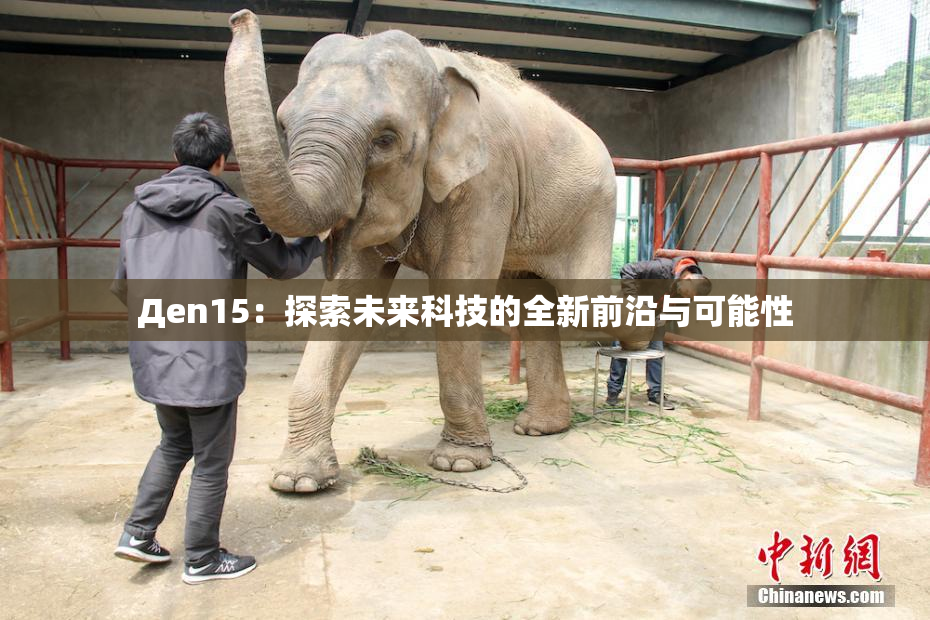 Дen15：探索未来科技的全新前沿与可能性