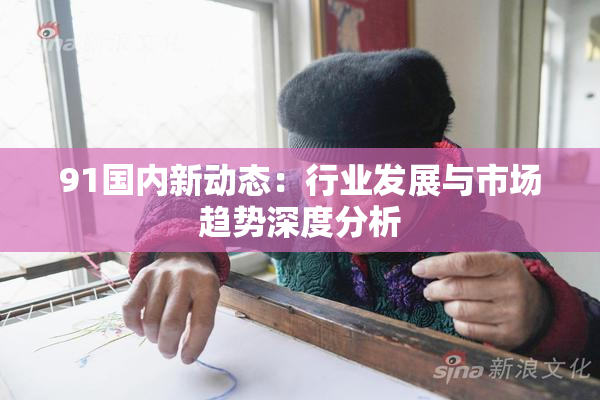 91国内新动态：行业发展与市场趋势深度分析