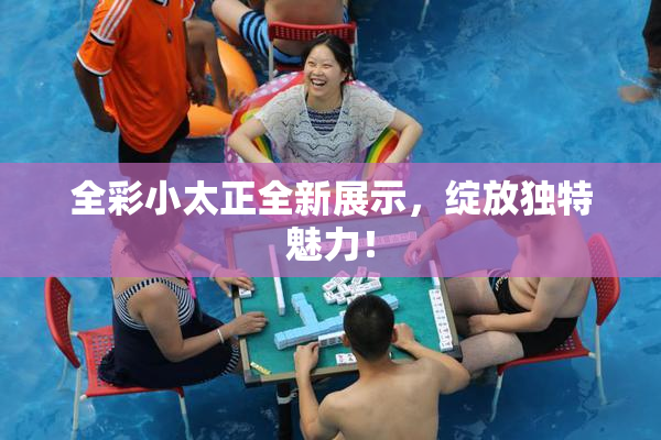 全彩小太正全新展示，绽放独特魅力！