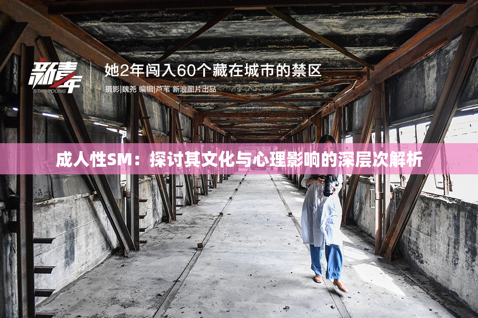 成人性SM：探讨其文化与心理影响的深层次解析