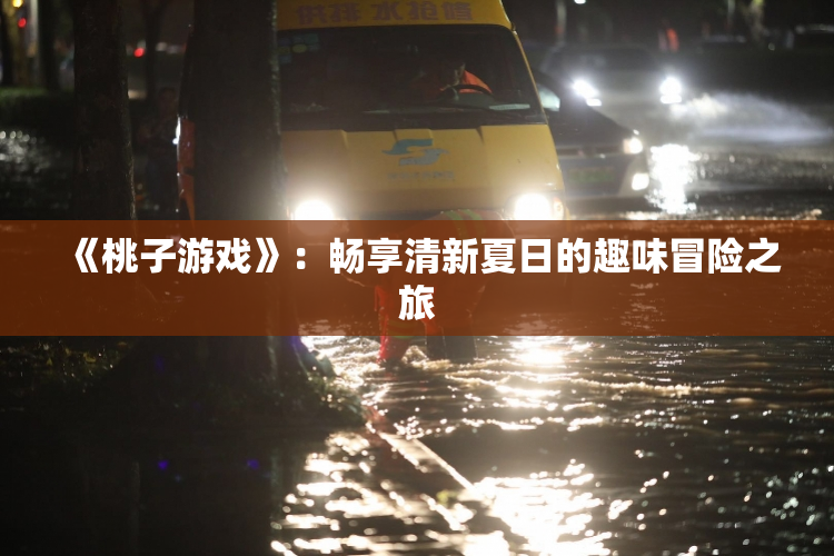 《桃子游戏》：畅享清新夏日的趣味冒险之旅