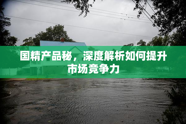 国精产品秘，深度解析如何提升市场竞争力