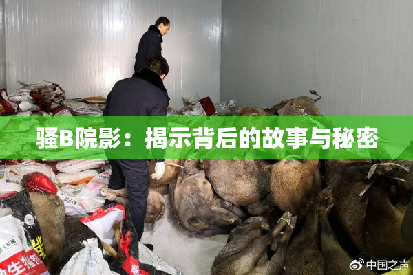 骚B院影：揭示背后的故事与秘密