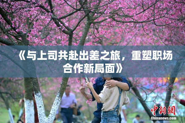 《与上司共赴出差之旅，重塑职场合作新局面》