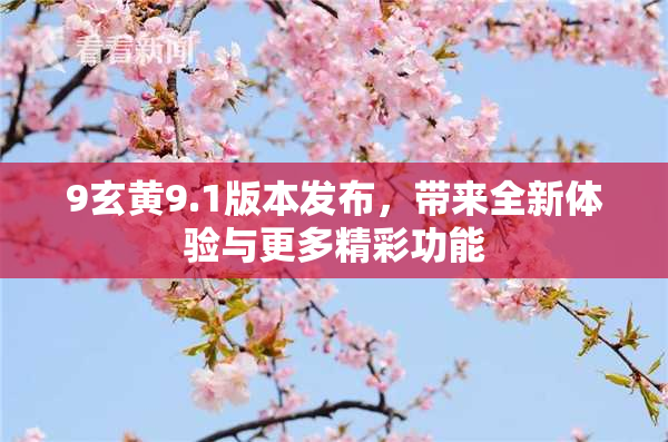 9玄黄9.1版本发布，带来全新体验与更多精彩功能