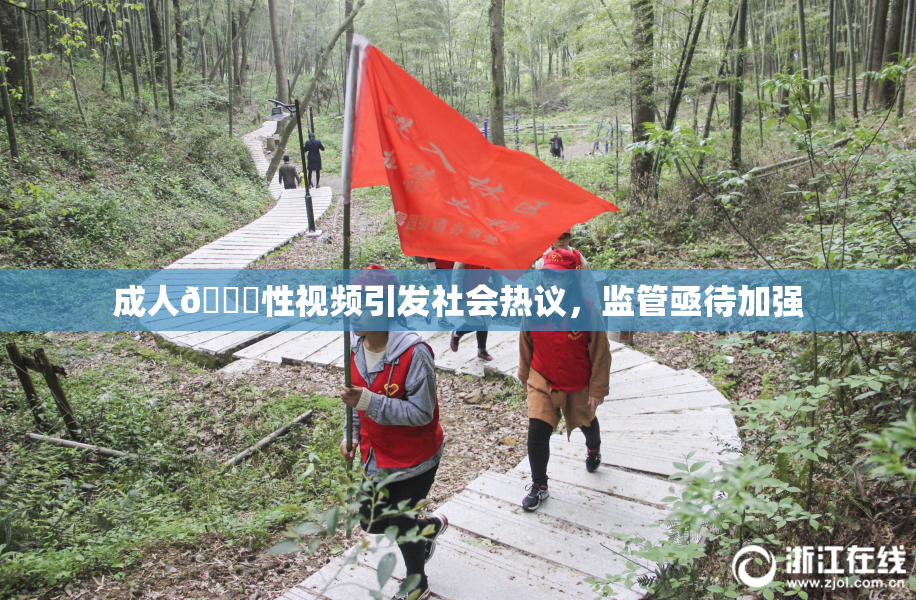成人🔞性视频引发社会热议，监管亟待加强