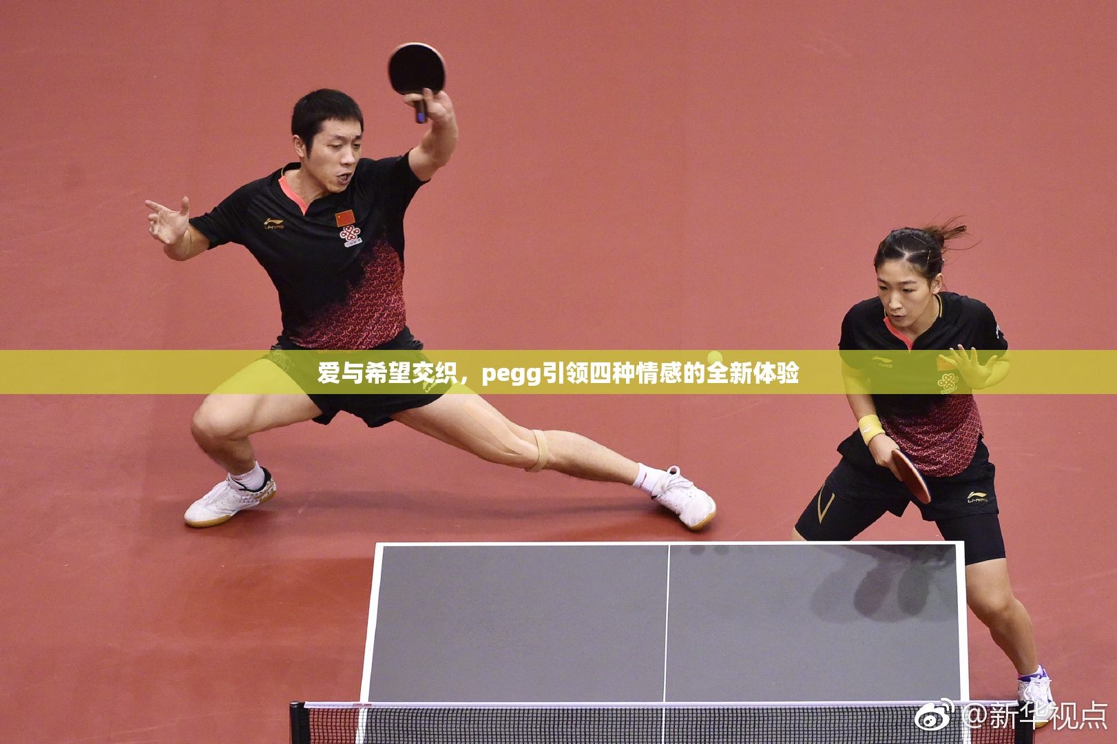 爱与希望交织，pegg引领四种情感的全新体验
