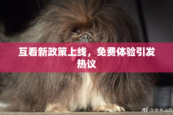 互看新政策上线，免费体验引发热议