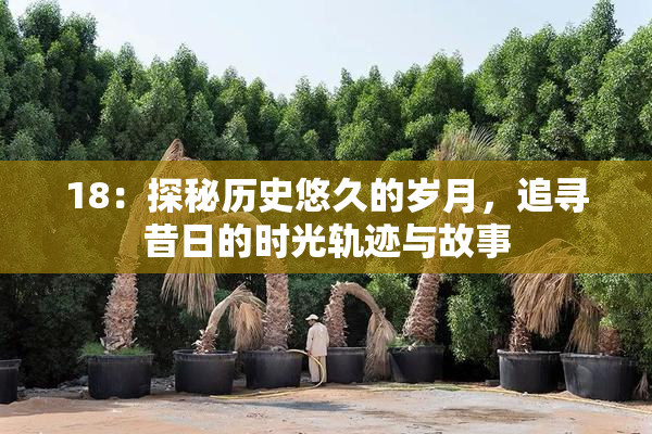 18：探秘历史悠久的岁月，追寻昔日的时光轨迹与故事