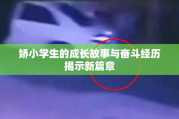 娇小学生的成长故事与奋斗经历揭示新篇章
