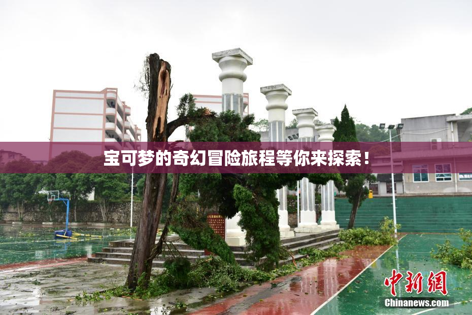 宝可梦的奇幻冒险旅程等你来探索！