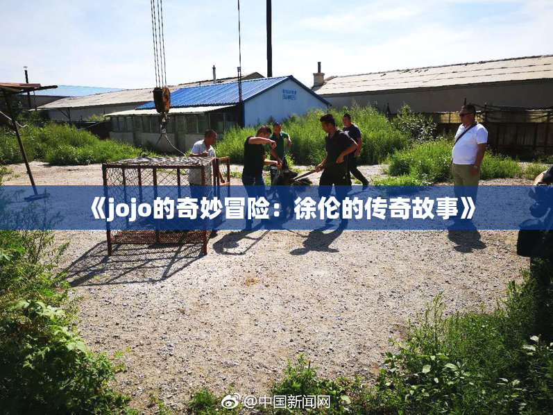 《jojo的奇妙冒险：徐伦的传奇故事》