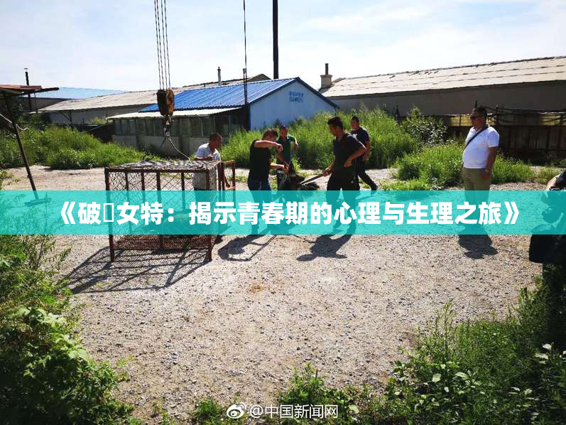 《破處女特：揭示青春期的心理与生理之旅》