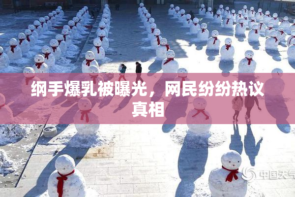 纲手爆乳被曝光，网民纷纷热议真相