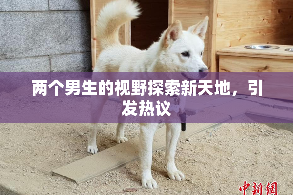两个男生的视野探索新天地，引发热议