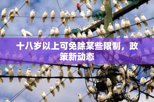 十八岁以上可免除某些限制，政策新动态
