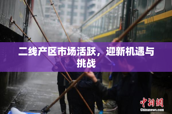 二线产区市场活跃，迎新机遇与挑战