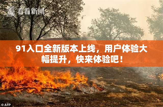 91入口全新版本上线，用户体验大幅提升，快来体验吧！