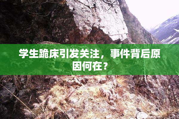 学生跪床引发关注，事件背后原因何在？