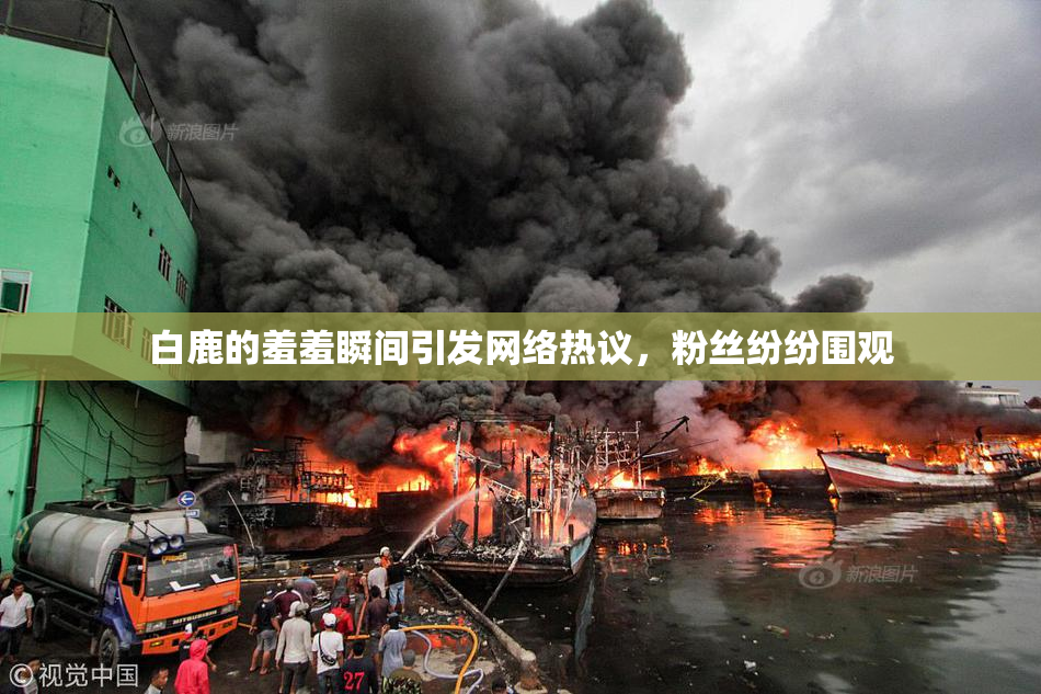 白鹿的羞羞瞬间引发网络热议，粉丝纷纷围观
