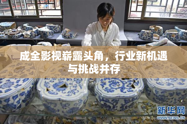 成全影视崭露头角，行业新机遇与挑战并存